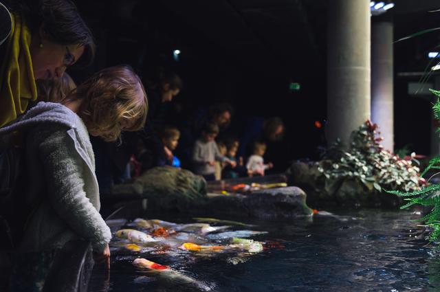 Aquarium Aquarium